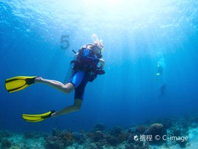 海绵拖把变硬如何快速变软游戏画面